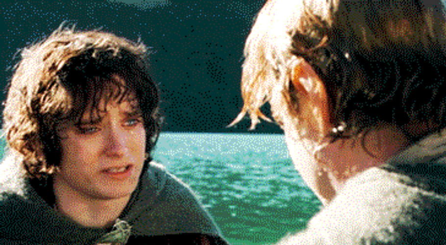 Samwise Gamgee Hugging Frodo Baggins GIF