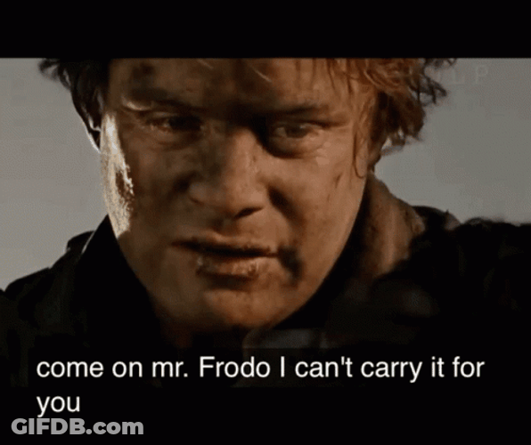 Samwise Gamgee I Can Carry You GIF