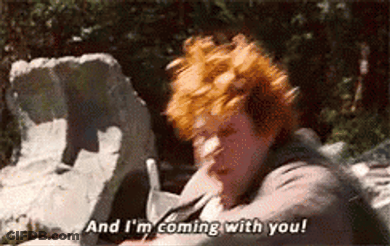 Samwise Gamgee Im Coming With You GIF