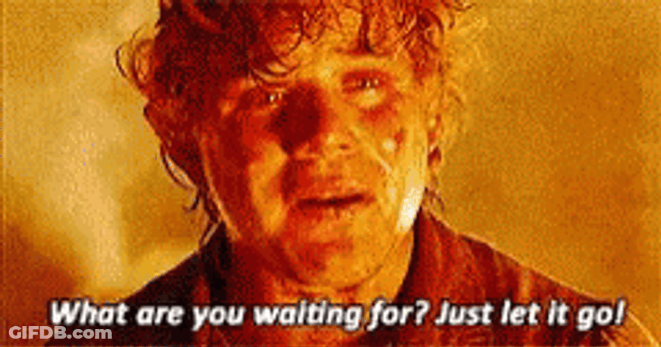 Samwise Gamgee Just Let It Go GIF