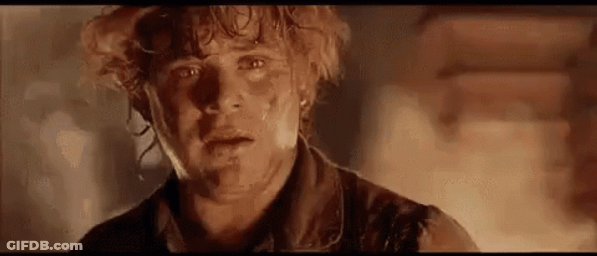 Samwise Gamgee No Lord Of The Rings GIF