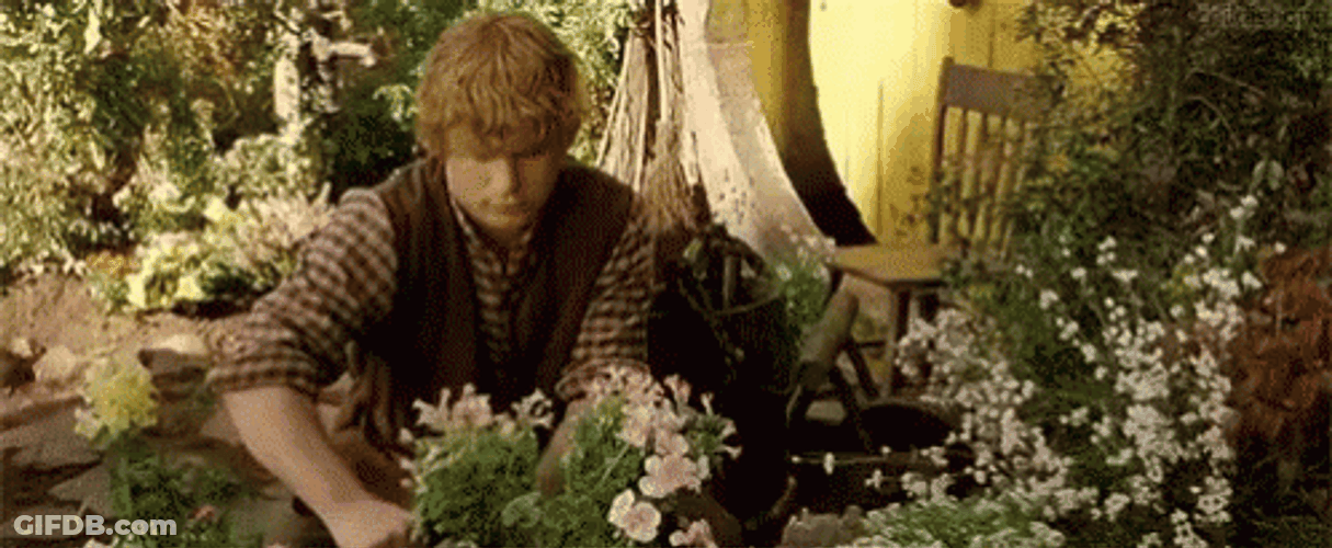 Samwise Gamgee Picking Up Flowers GIF