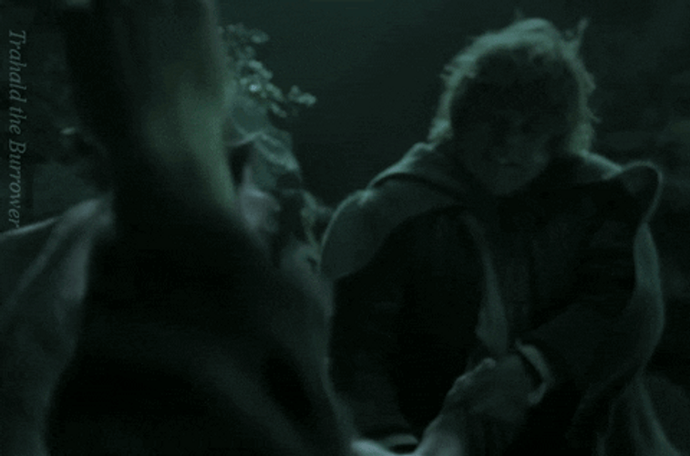 Samwise Gamgee Slapped By Gollum GIF