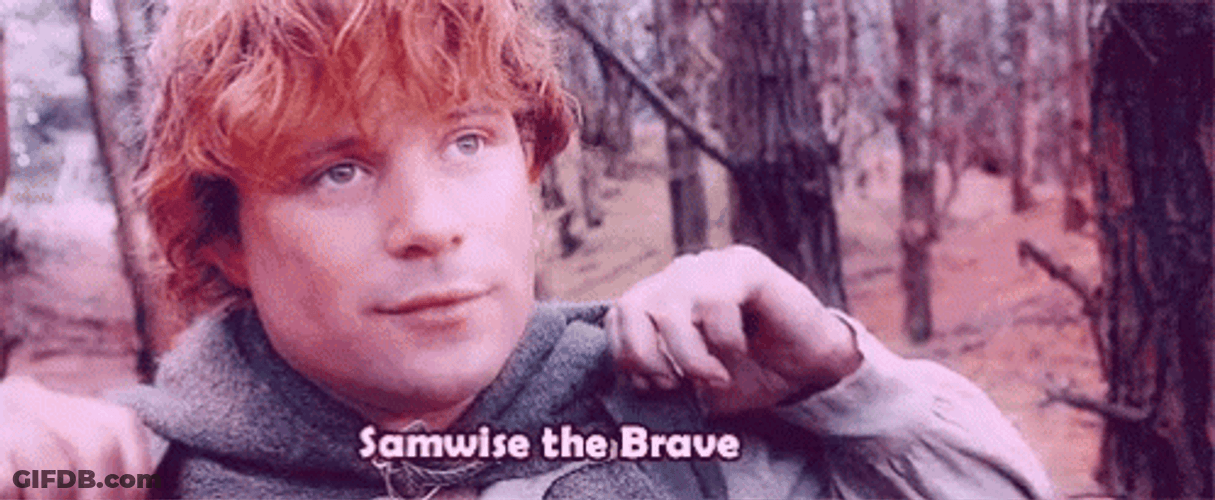 Samwise Gamgee The Brave GIF