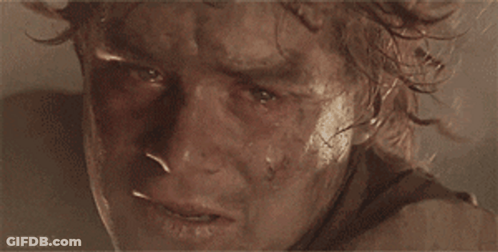 Samwise Gamgee With Dirty Face GIF