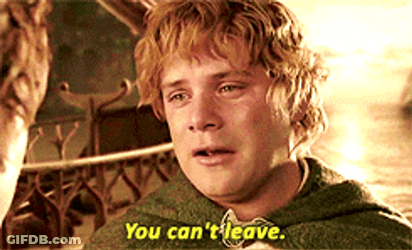 Samwise Gamgee You Cant Leave GIF