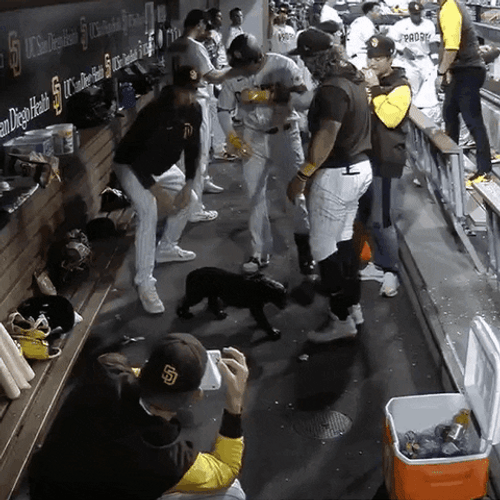 San Diego Padres Wacky Pose For Camera GIF