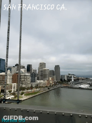 San Francisco Aerial View Norma GG GIF