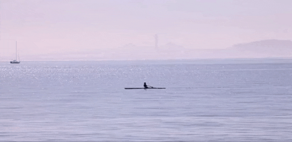 San Francisco California Beach GIF