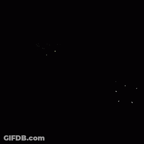 San Jose State Spartans Football Player Running Through Woods GIF