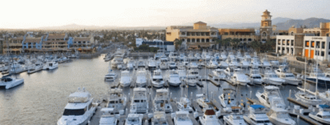 San Marino Amazing Fishing Charters GIF