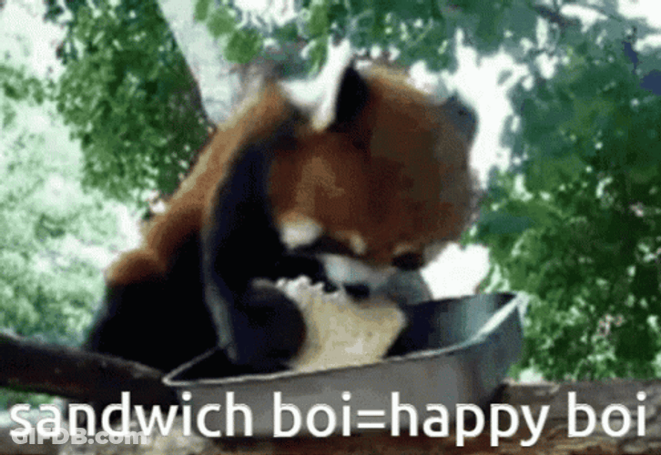 Sandwich Boi Happy Boi GIF