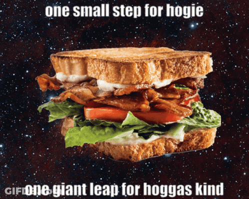 Sandwich One Small Step For Hogie One Giant Leap For Hoggas GIF