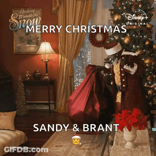 Sandy And Brant Wish Everyone A Merry Christmas From Disney GIF