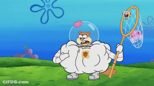 Sandy Cheeks From Spongebob Squarepants Is Holding A Net In Her Hand GIF