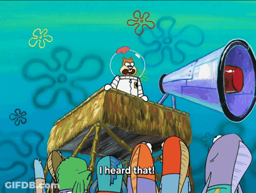 Sandy Cheeks From Spongebob Squarepants Speaking Into A Megaphone And Saying I Heard That GIF