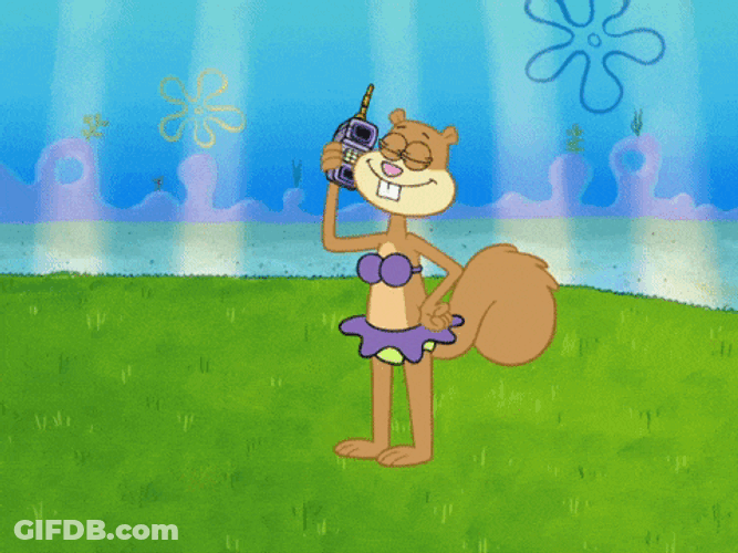 Sandy Cheeks Phone Call GIF