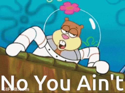 Sandy Cheeks Says No You Ain't GIF