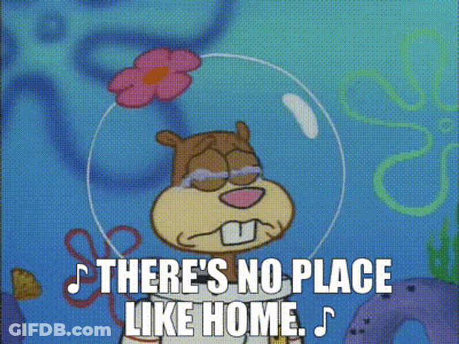 Sandy Cheeks Theres No Place Like Home GIF