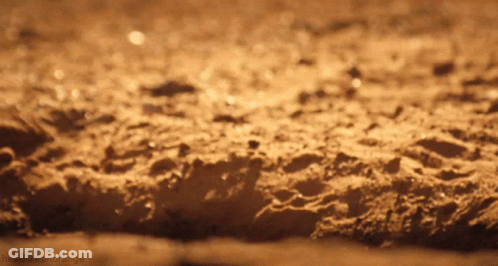 Sandy Surface With Headlikeanorange GIF
