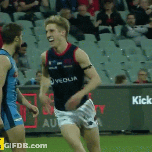 Sanfl Norwood GIF