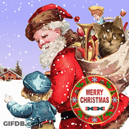 Santa Carrying Christmas Cat Gift GIF