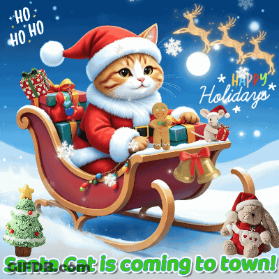 Santa Cat In Sleigh With Gifts GIF