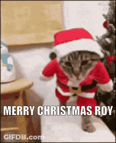 Santa Cat Says Merry Christmas Roy GIF