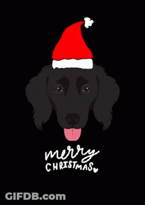 Santa Christmas Dog Merry Christmas GIF