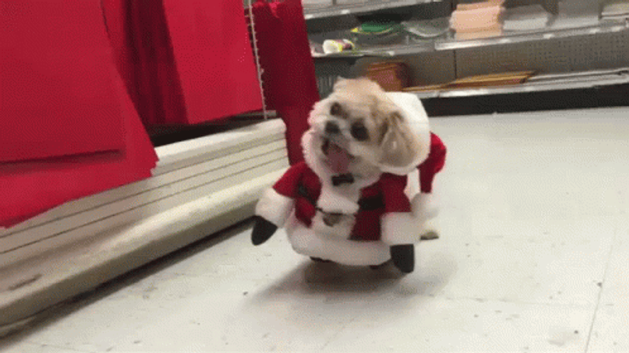 Santa Claus Costume Christmas Dog GIF