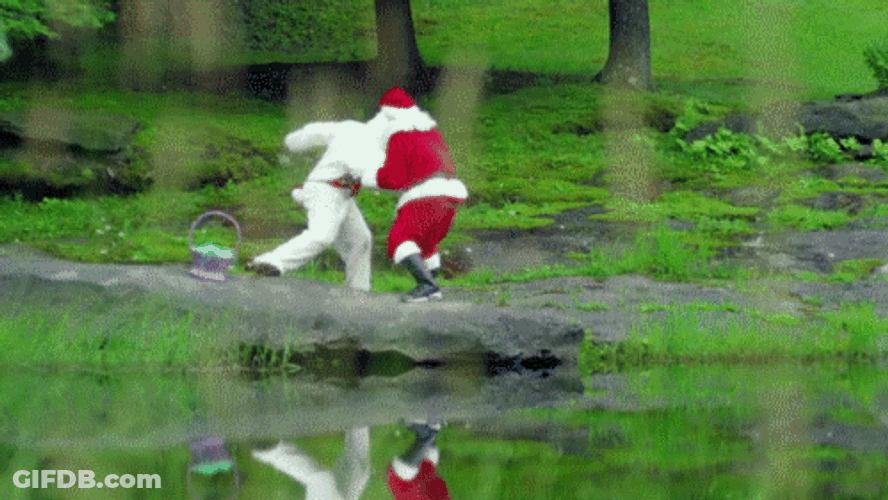 Santa Claus Lake Fight GIF