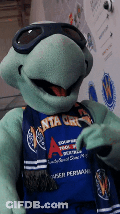 Santa Cruz Warriors Turtle Mascot Dancing GIF