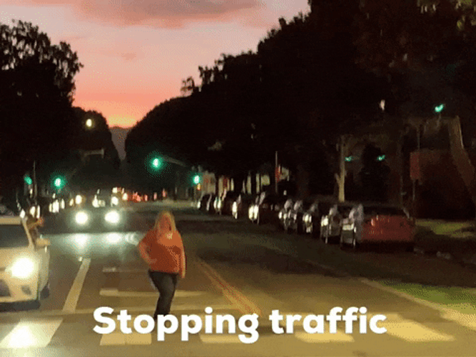 Santa Monica Stopping Traffic GIF