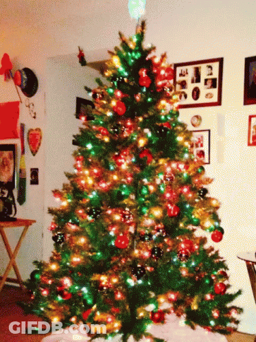 Santa Sleigh Ho Ho Ho Pass Child Checks GIF