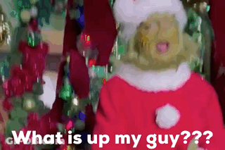 Santa Woman Says What Is Up My Guy GIF