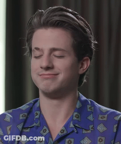 Sarahmcfadyen Charlie Puth GIF