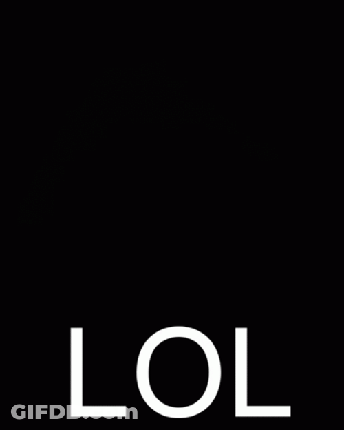 Sarcasm Dog Lol GIF