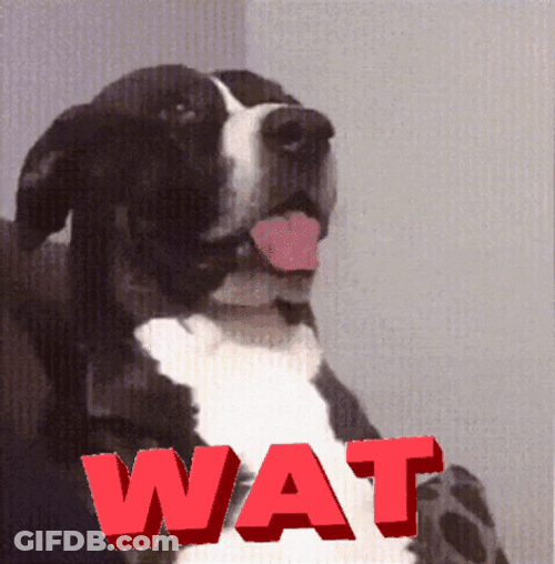 Sarcastic Doggo Wat GIF