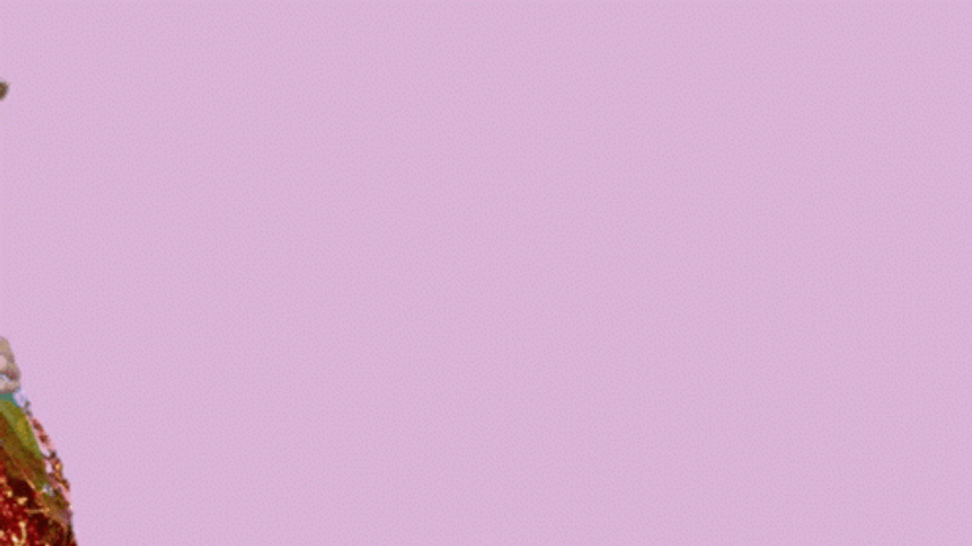 Sarcastic Lady Dramatic Shades Off GIF
