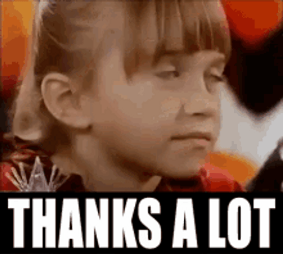 Sarcastic Thanks A Lot GIF