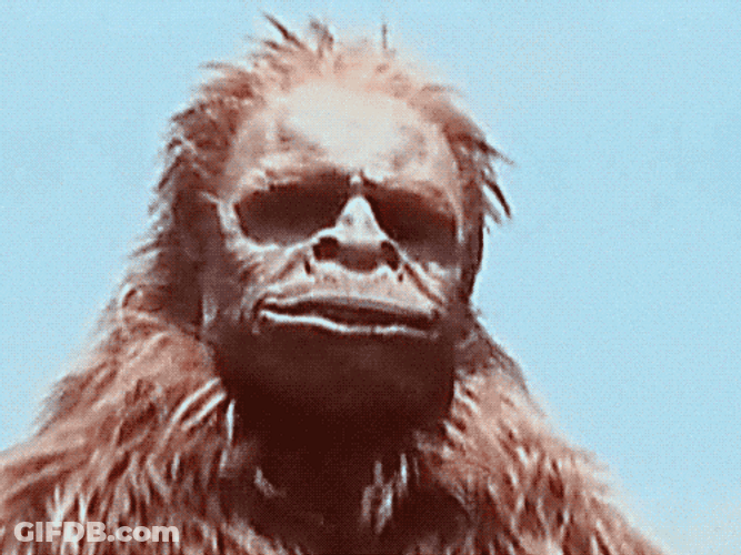 Sasquatch Bigfoot Out Of Breath GIF