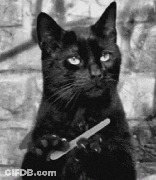 Sassy Black Cat Shaping Nails GIF