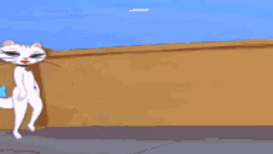 Sassy Cat Model GIF