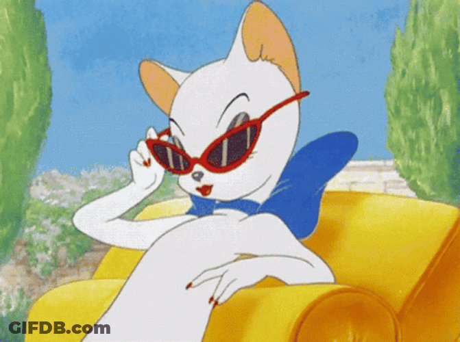 Sassy Toodles Galore Wearing Red Sunglasses GIF