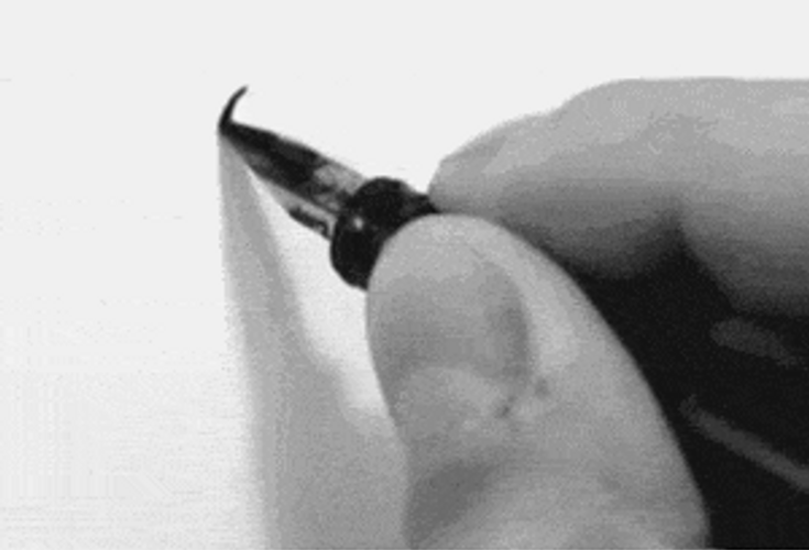Satisfying Calligraphy Only You GIF