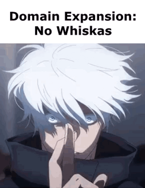 Satoru Gojo Domain Expansion No Whiskas GIF