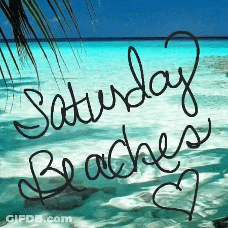 Saturday Beaches Beach GIF