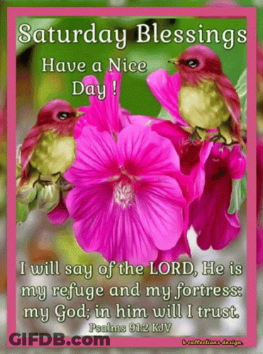 Saturday Blessings Have A Nice Day With Two Birds And A Pink Flower GIF