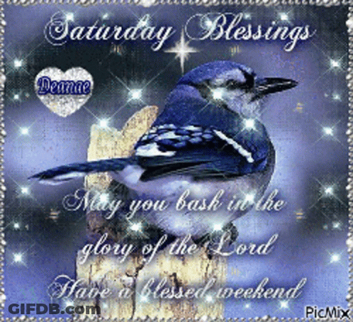 Saturday Blessings Lord Glory GIF