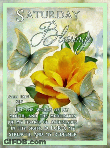 Saturday Blessings Poster With Yellow Flower And Butterflies GIF